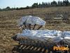 Scorrano_2013_018_diurno_Di_Candia.jpg