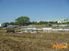 Scorrano_2013_022_diurno_Di_Candia.jpg