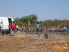 Scorrano_2013_024_diurno_Lieto.jpg