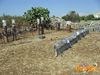 Scorrano_2013_032_diurno_Lieto.jpg