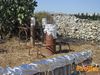 Scorrano_2013_033_diurno_Lieto.jpg