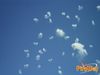 Scorrano_2013_051_fuochi_diurni.jpg