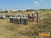 Scorrano_2014_019_Lieto.jpg