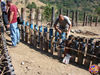 Filename=Scudo_04.jpg
Filesize=253KB
Dimensions=1024x768
Date added=Aug 27, 2008 Scudo_04.jpg