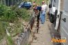 Filename=Siano_2010_68_Siciliano.jpg
Filesize=153KB
Dimensions=1024x680
Date added=Aug 22, 2010 Siano_2010_68_Siciliano.jpg