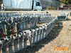 Siano_2011_038_Scudo_Peppe.jpg