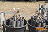 Siano_2011_052_Scudo_Peppe.jpg