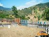 Siano_2011_080_Pellicani.jpg