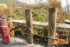 Siano_2012_021_Del_Vicario.jpg