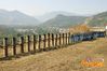 Siano_2012_037_Scudo_guagliun.jpg