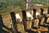 Siano_2012_038_Scudo_guagliun.jpg