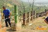 Siano_2012_088_Schiattarella.jpg