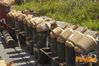 Siano_2013_110_Chiarappa.jpg