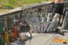 Siano_2013_117_Chiarappa.jpg