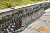 Siano_2013_119_Chiarappa.jpg