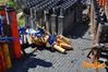 Siano_2013_123_Chiarappa.jpg