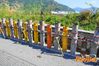 Siano_2013_134_Chiarappa.jpg