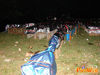 Solofra_2010_11_Scudo.jpg