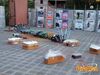 Vallerano_2014_04.jpg