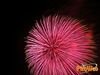 Filename=Vallerano_2015_Lieto_fuochi_34.jpg
Filesize=176KB
Dimensions=1024x768
Date added=Dec 23, 2015 Vallerano_2015_Lieto_fuochi_34.jpg