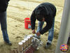 Filename=Mazzone_05.jpg
Filesize=240KB
Dimensions=1024x768
Date added=Mar 14, 2009 Mazzone_05.jpg