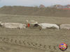 Filename=Mazzone_25.jpg
Filesize=175KB
Dimensions=1024x768
Date added=Mar 14, 2009 Mazzone_25.jpg