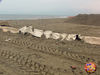 Filename=Mazzone_26.jpg
Filesize=205KB
Dimensions=1024x768
Date added=Mar 14, 2009 Mazzone_26.jpg