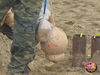 Filename=Mazzone_32.jpg
Filesize=201KB
Dimensions=1024x768
Date added=Mar 14, 2009 Mazzone_32.jpg