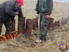 Filename=Mazzone_40.jpg
Filesize=267KB
Dimensions=1024x768
Date added=Mar 14, 2009 Mazzone_40.jpg
