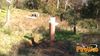 Vibonati_2012_35_Senatore.jpg