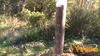 Vibonati_2012_36_Senatore.jpg