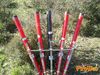 Vibonati_2012_56_Paolelli.jpg