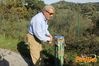 Vibonati_2014_001_Pirocilento.jpg