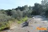 Vibonati_2014_006_Pirocilento.jpg