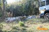 Vibonati_2014_024_Di_Candia.jpg