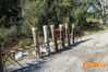 Vibonati_2014_026_Di_Candia.jpg
