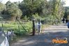 Vibonati_2014_037_Di_Candia.jpg
