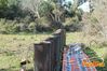 Vibonati_2014_039_Paolelli.jpg