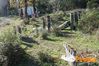 Vibonati_2014_043_Paolelli.jpg