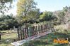 Vibonati_2014_047_Paolelli.jpg
