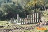 Vibonati_2014_049_Paolelli.jpg