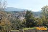 Vibonati_2014_051_Paolelli.jpg