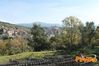 Vibonati_2014_052_Paolelli.jpg