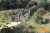 Vibonati_2014_053_Paolelli.jpg