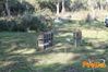 Vibonati_2014_055_Paolelli.jpg