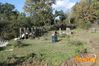 Vibonati_2014_058_Paolelli.jpg