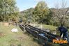 Vibonati_2014_061_Paolelli.jpg