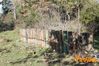 Vibonati_2014_062_Paolelli.jpg