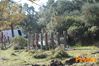 Vibonati_2014_066_Paolelli.jpg