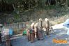 Vibonati_2014_069_Senatore.jpg